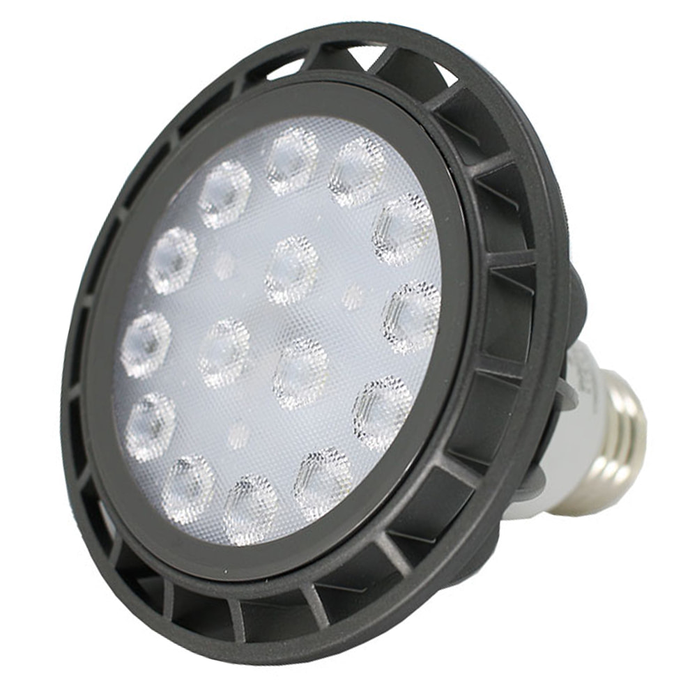 두영 LED PAR30 집중형 15W 백색(아이보리색)